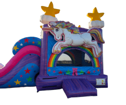 UNICORNS AND RAINBOWS WET/DRY COMBO